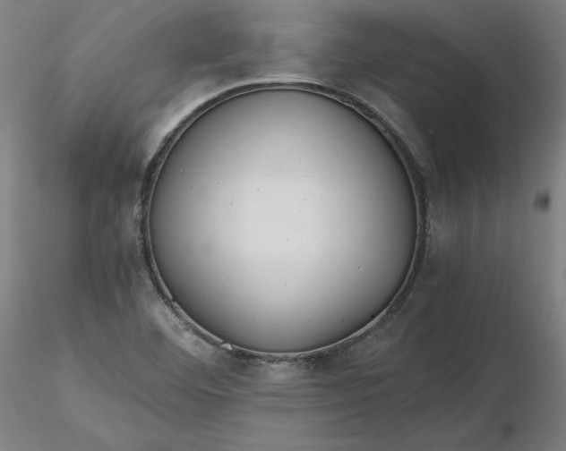 X0000116481460200912231120