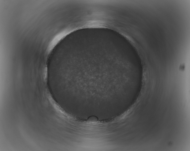 X0000116481461200912231120