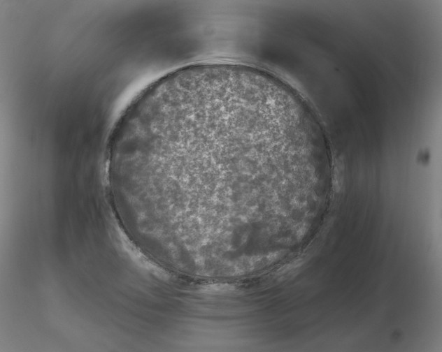 X0000116481462200912231120