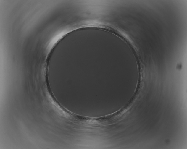 X0000116481463200912231120