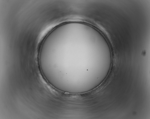 X0000116481464200912231120