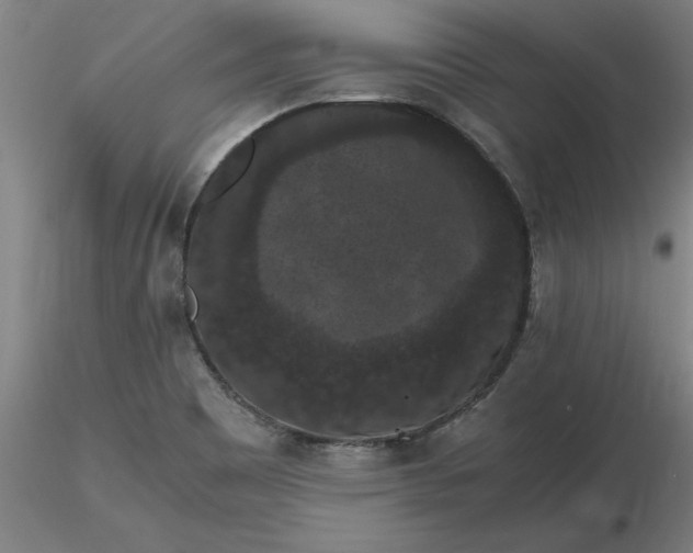 X0000116481465200912231120