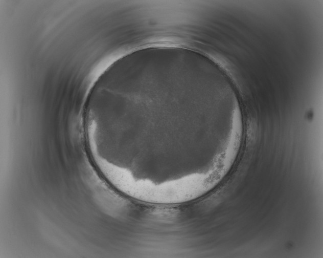 X0000116481466200912231120