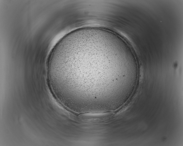 X0000116481467200912231120