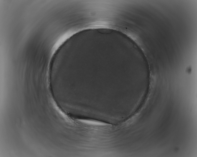 X0000116481469200912231120