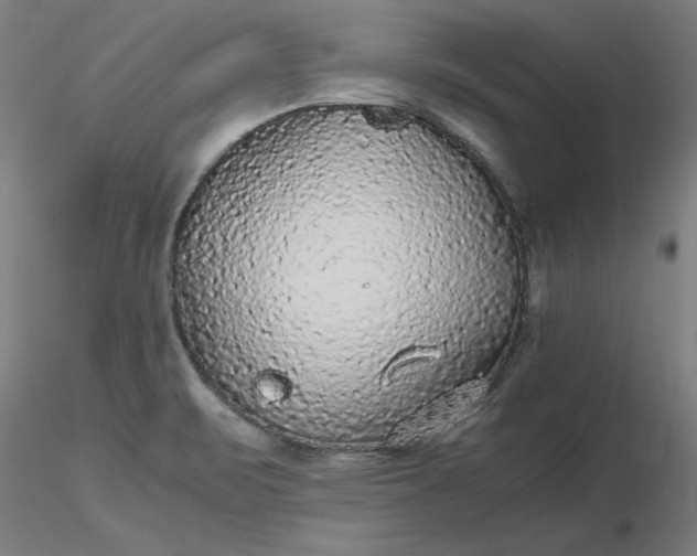 X0000116481471200912231120