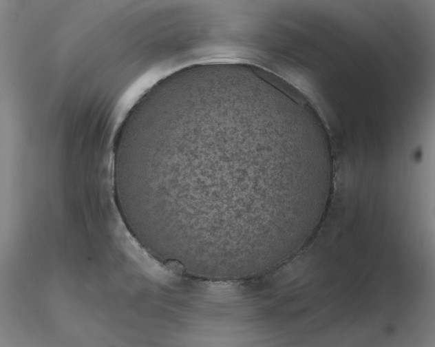 X0000116481472200912231120