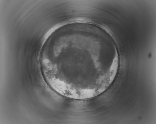 X0000116481474200912231120