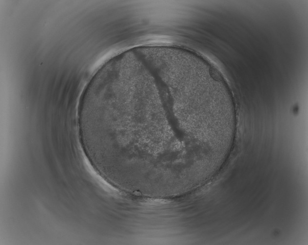 X0000116481475200912231120