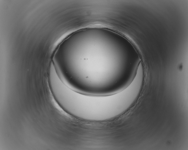 X0000116481476200912231120