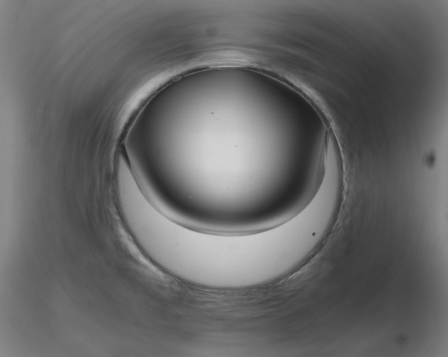 X0000116481477200912231120