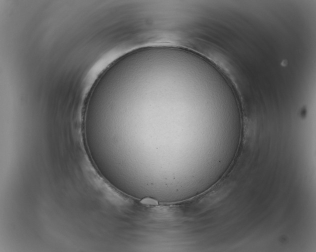 X0000116481480200912231120