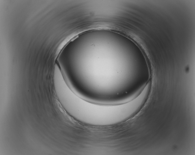 X0000116481481200912231120