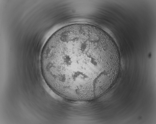 X0000116481482200912231120