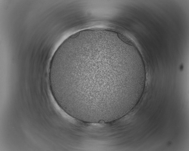 X0000116481483200912231120