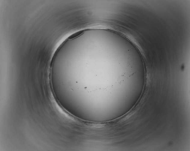 X0000116481484200912231120