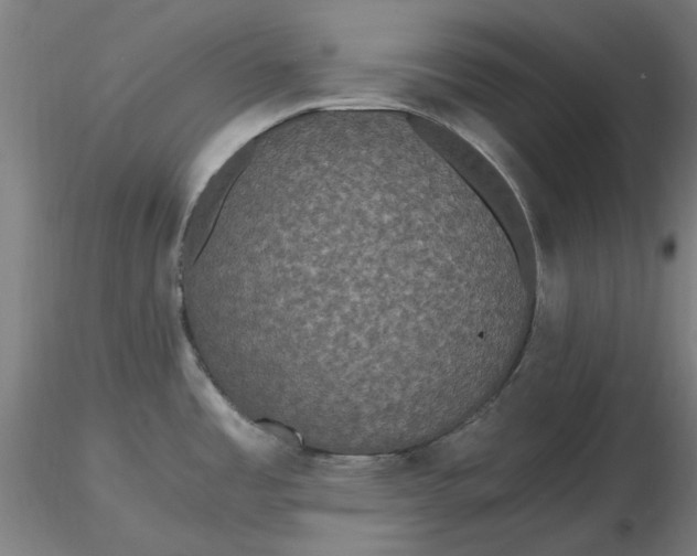 X0000116481485200912231120