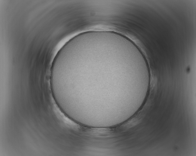 X0000116481486200912231120