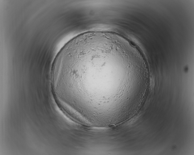 X0000116481487200912231120