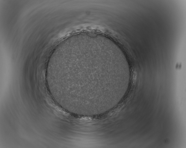 X0000116481489200912231119