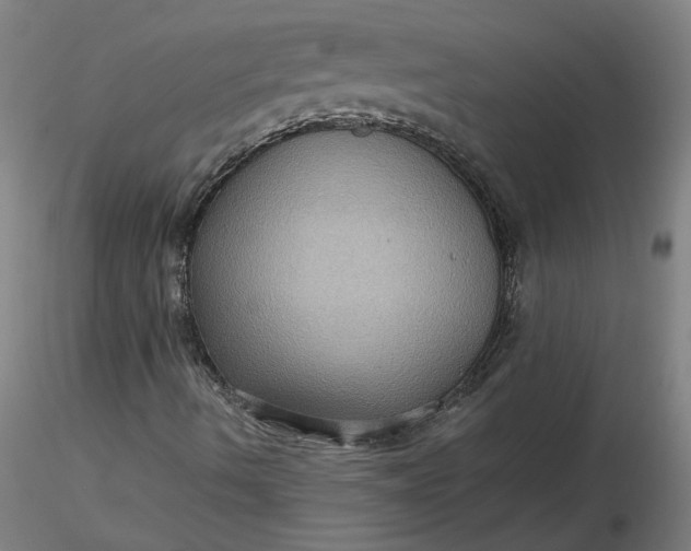 X0000116481490200912231119