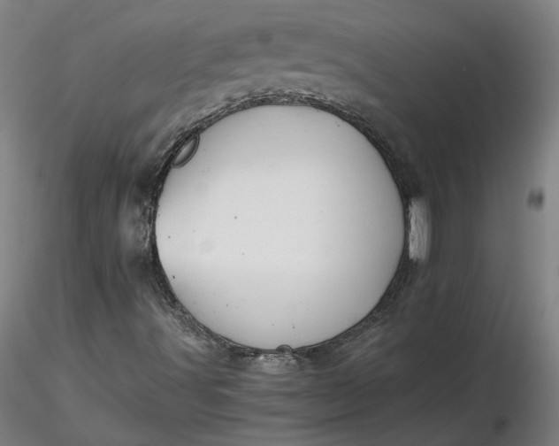 X0000116481491200912231119