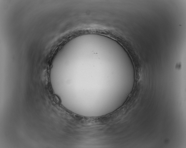 X0000116481493200912231119