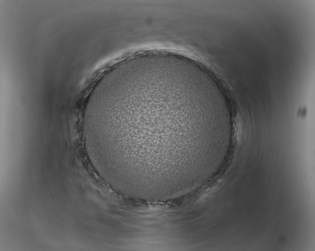 X0000116481494200912231119