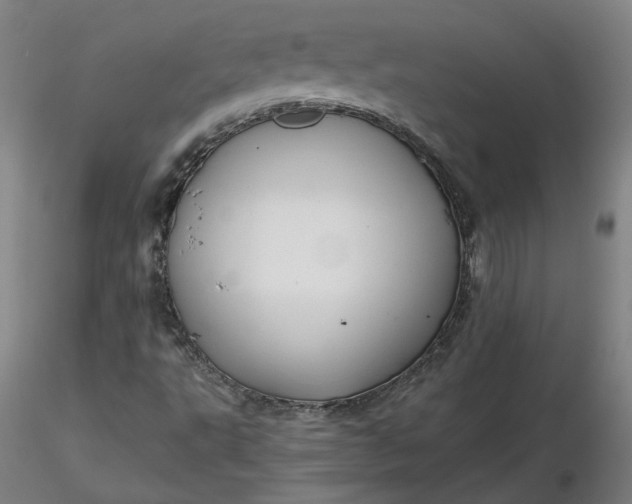 X0000116481495200912231119