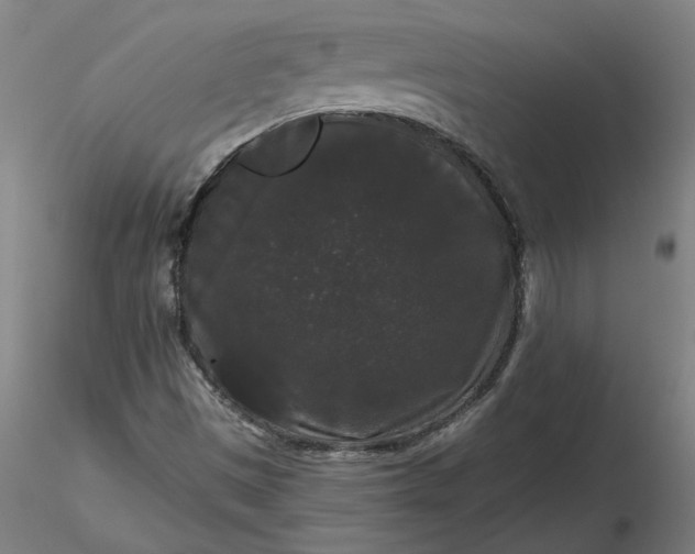 X0000116481497200912231119