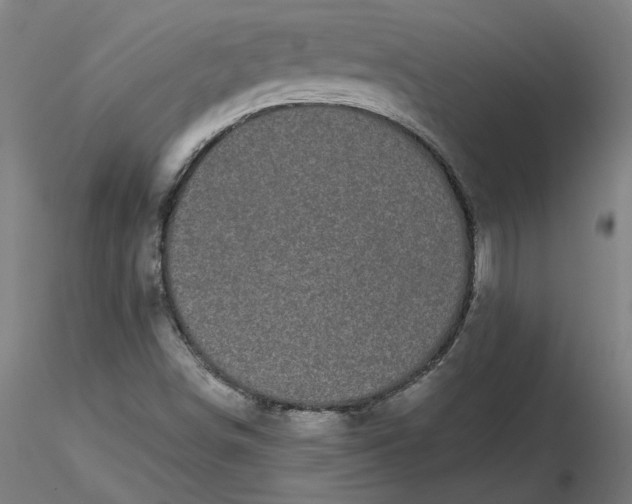 X0000116481498200912231119