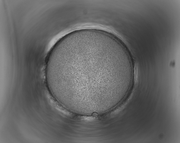 X0000116481501200912231119