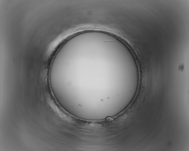 X0000116481503200912231119