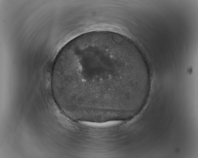 X0000116481505200912231119