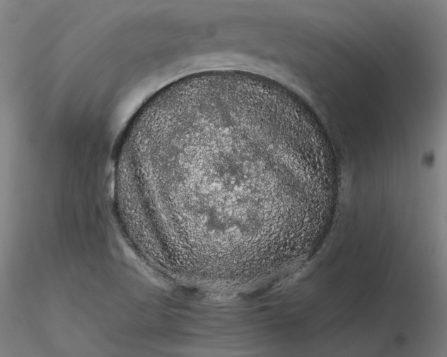 X0000116481509200912231120