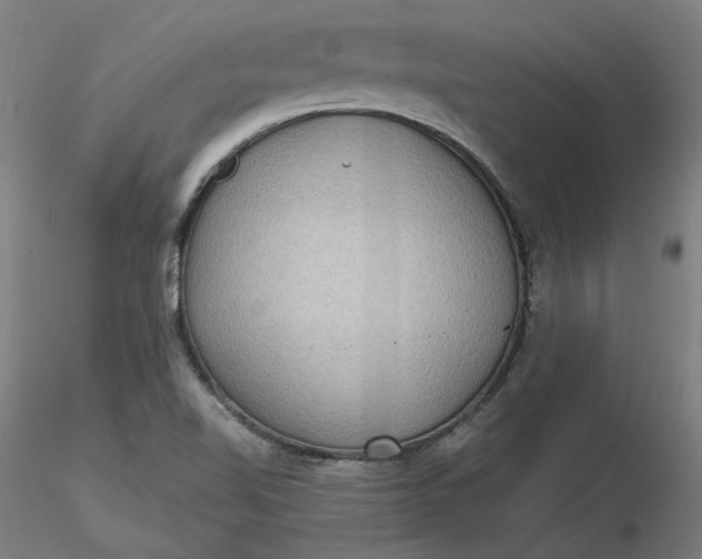 X0000116481510200912231120