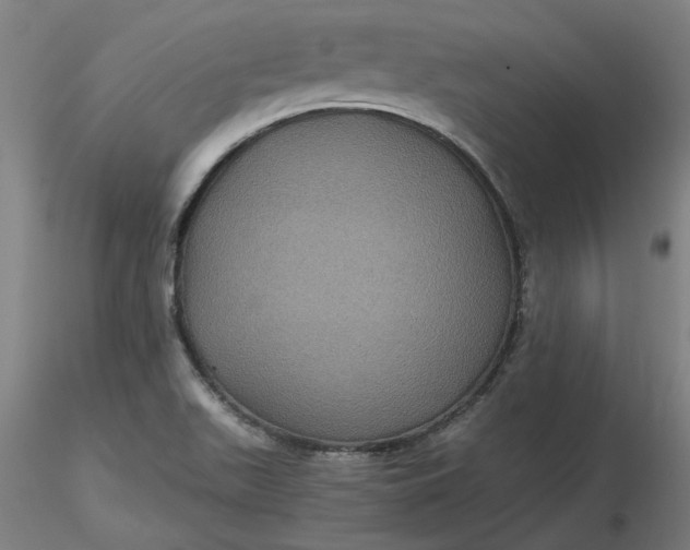 X0000116481511200912231120