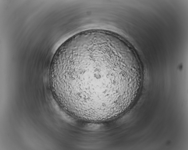 X0000116481513200912231120