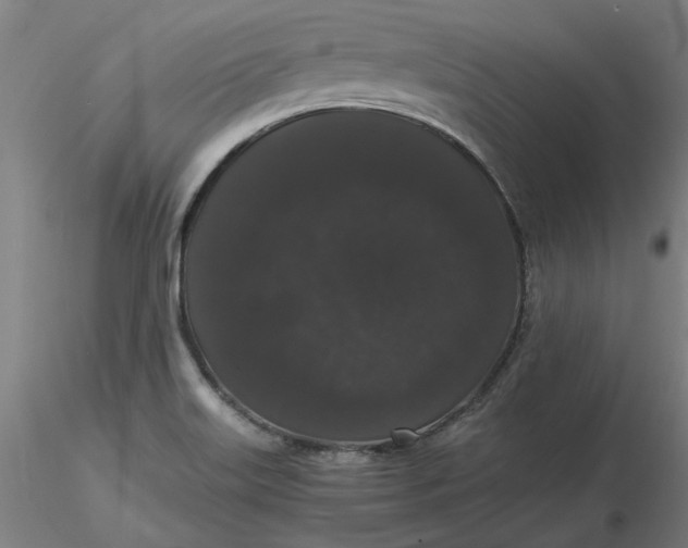 X0000116481515200912231120