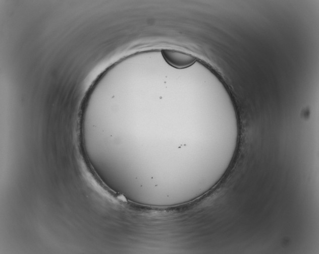 X0000116481518200912231120