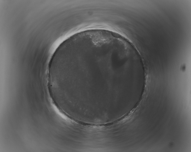 X0000116481519200912231120