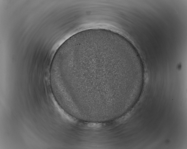 X0000116481521200912231120