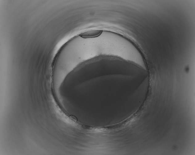 X0000116481522200912231120