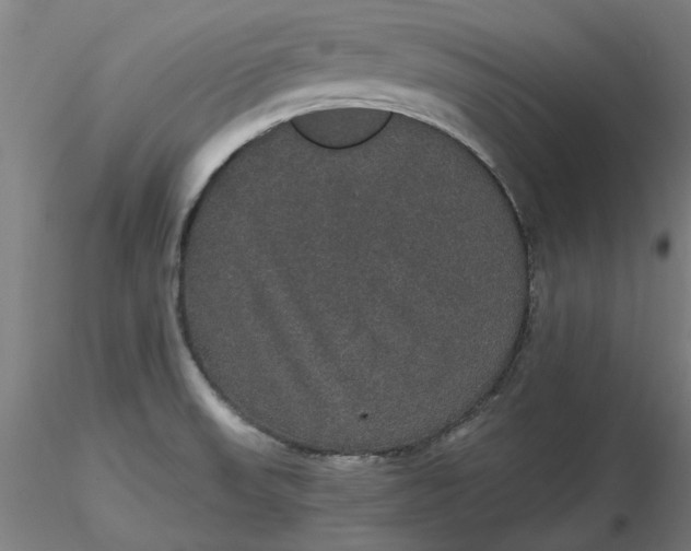 X0000116481523200912231120