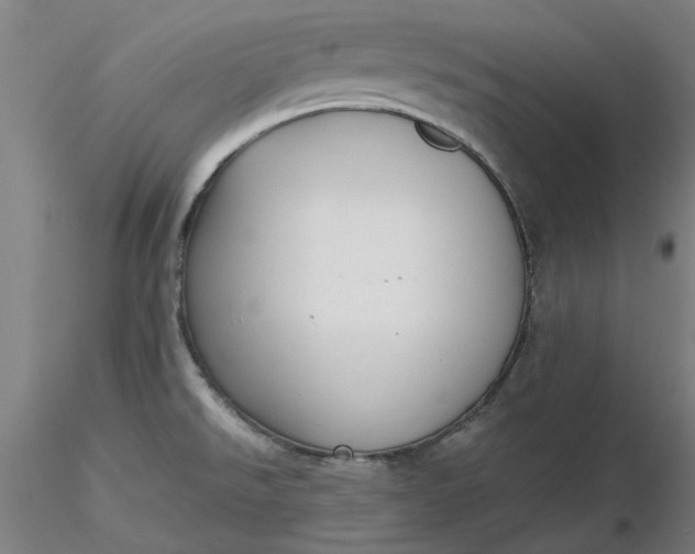 X0000116481526200912231120