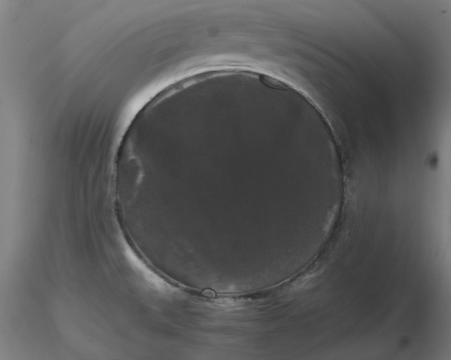 X0000116481527200912231120