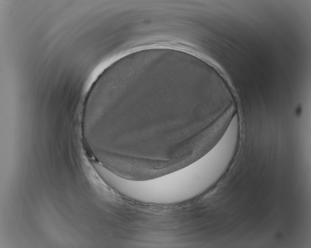 X0000116481530200912231120