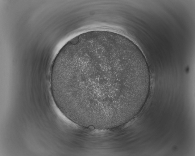 X0000116481531200912231120