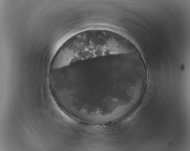 X0000116481533200912231120