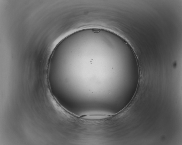 X0000116481534200912231120